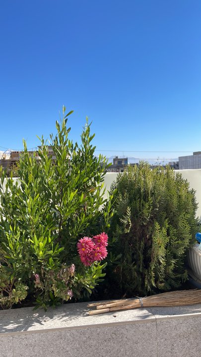 مشاركاتي في أنت الراصد