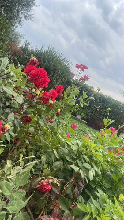 مشاركاتي في أنت الراصد