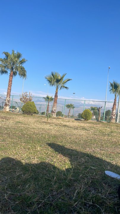 مشاركاتي في أنت الراصد