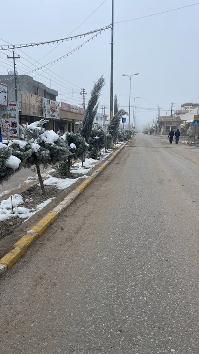 مشاركاتي في أنت الراصد