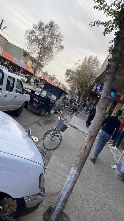 مشاركاتي في أنت الراصد