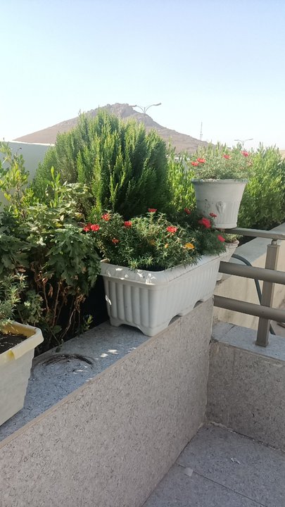 My Crowdsourcing Posts