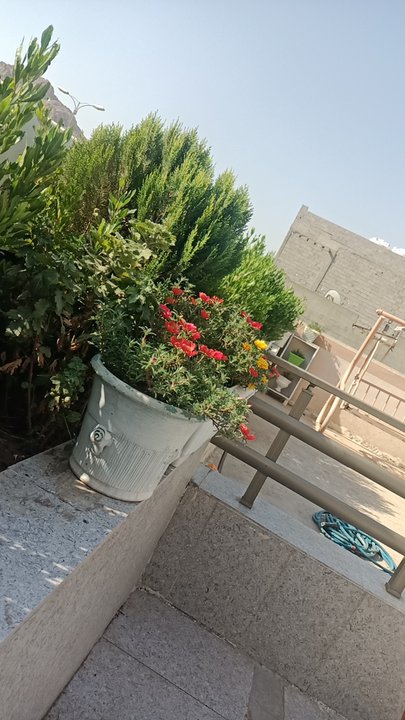 My Crowdsourcing Posts