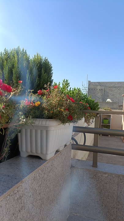 My Crowdsourcing Posts