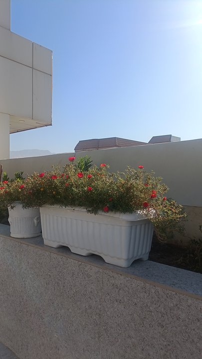 My Crowdsourcing Posts