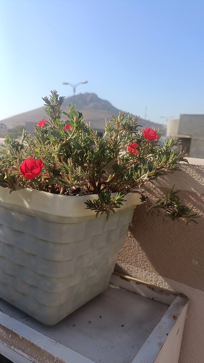 My Crowdsourcing Posts