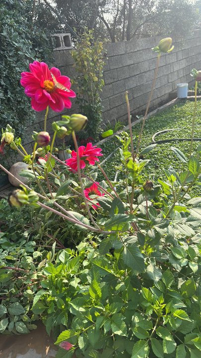 My Crowdsourcing Posts