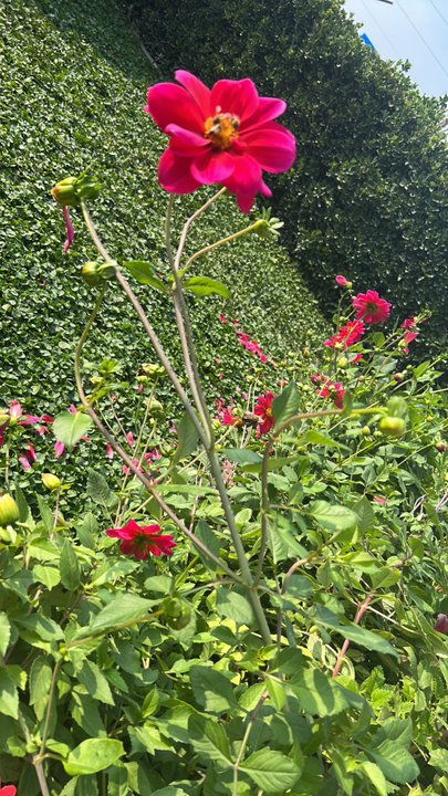 My Crowdsourcing Posts