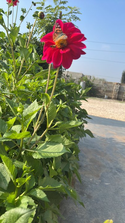 My Crowdsourcing Posts