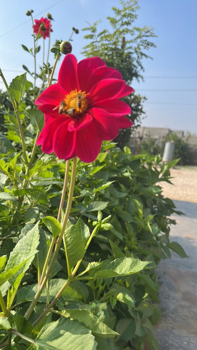 My Crowdsourcing Posts