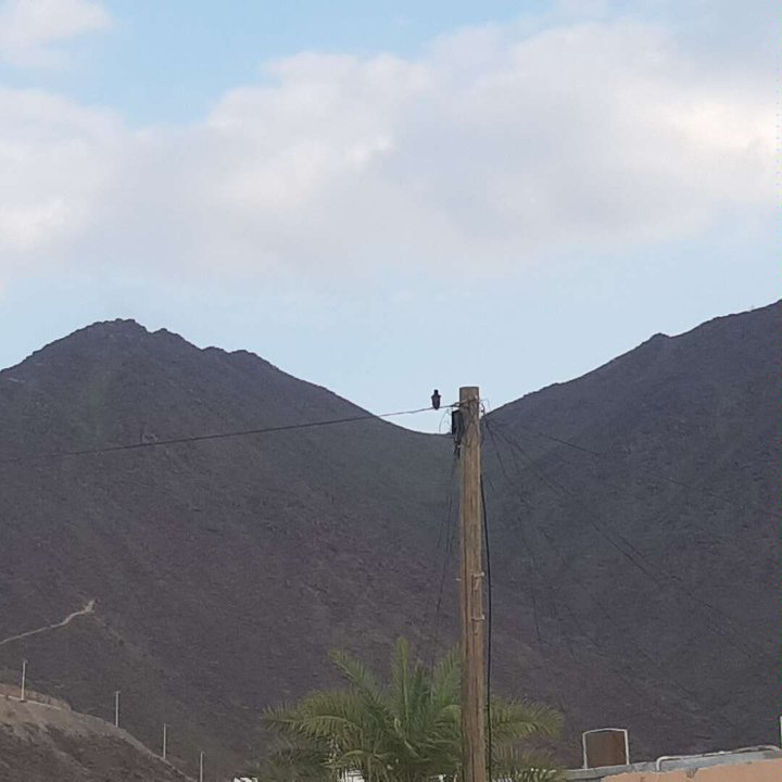 My Crowdsourcing Posts