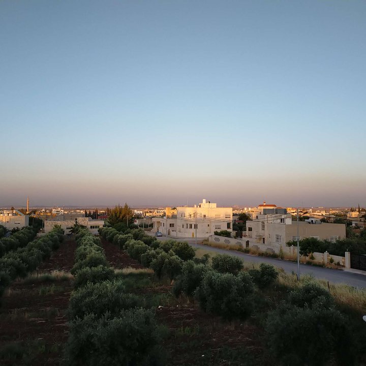 مشاركاتي في أنت الراصد