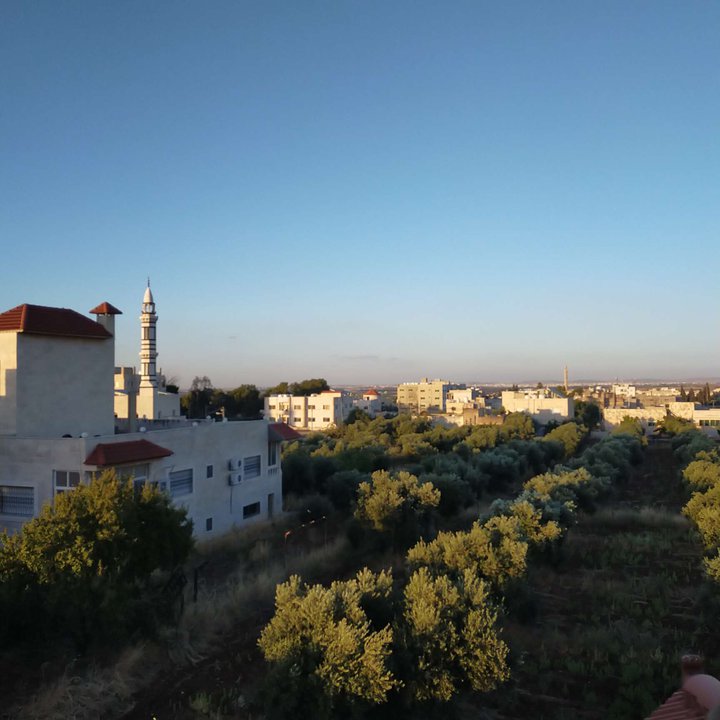 مشاركاتي في أنت الراصد