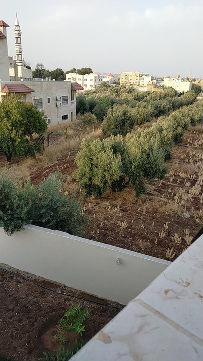 مشاركاتي في أنت الراصد