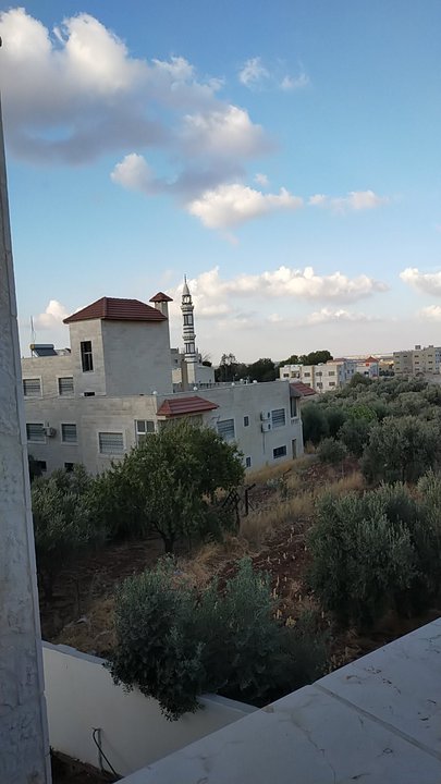 مشاركاتي في أنت الراصد