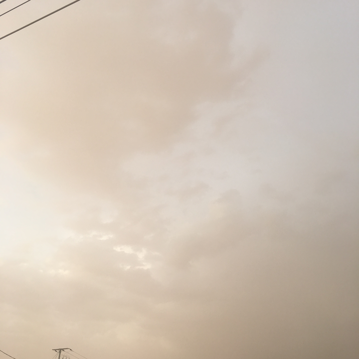 مشاركاتي في أنت الراصد