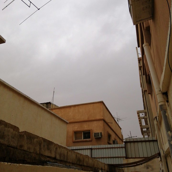 مشاركاتي في أنت الراصد