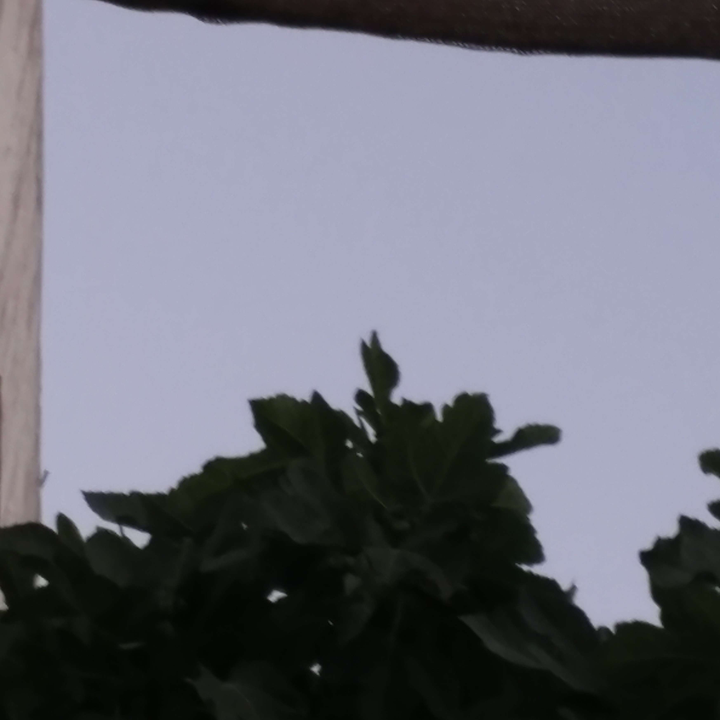 My Crowdsourcing Posts