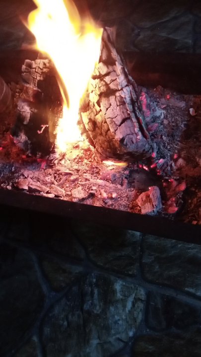 مشاركاتي في أنت الراصد