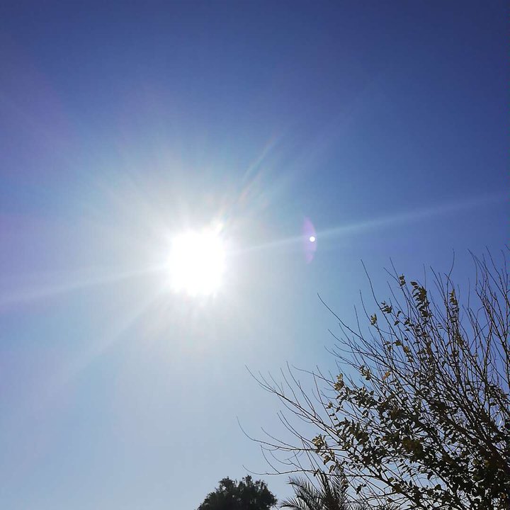 مشاركاتي في أنت الراصد