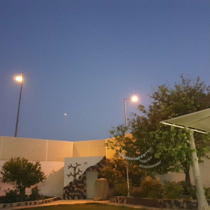 مشاركاتي في أنت الراصد