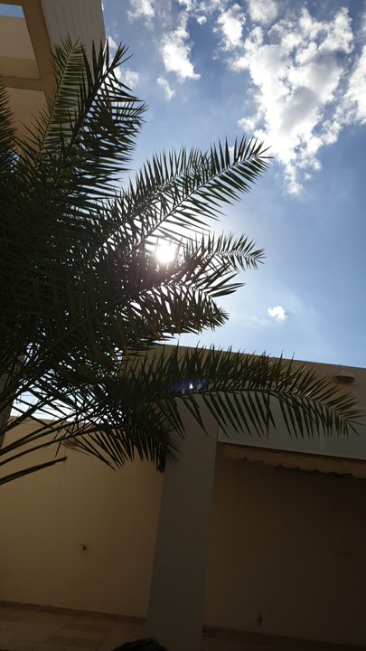 مشاركاتي في أنت الراصد