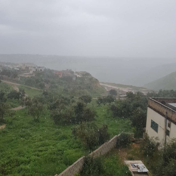 مشاركاتي في أنت الراصد