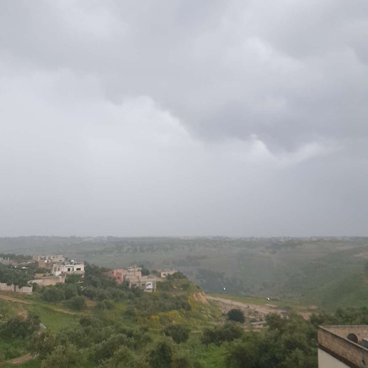 مشاركاتي في أنت الراصد