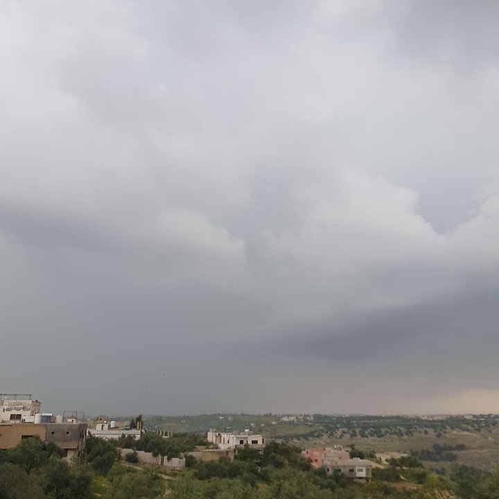 مشاركاتي في أنت الراصد