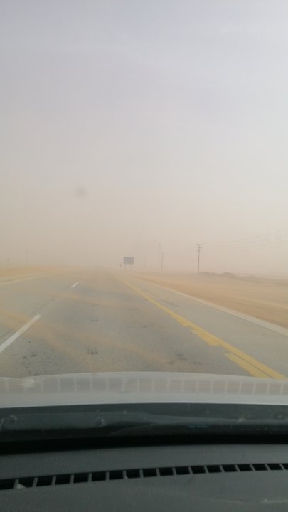 مشاركاتي في أنت الراصد