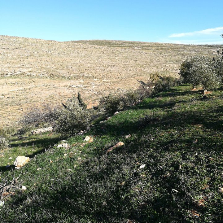 My Crowdsourcing Posts