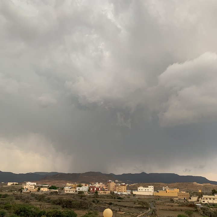 مشاركاتي في أنت الراصد