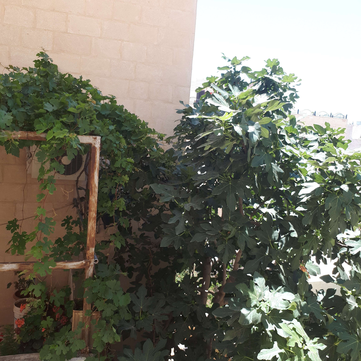 My Crowdsourcing Posts