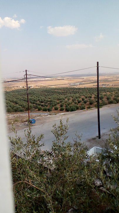 مشاركاتي في أنت الراصد