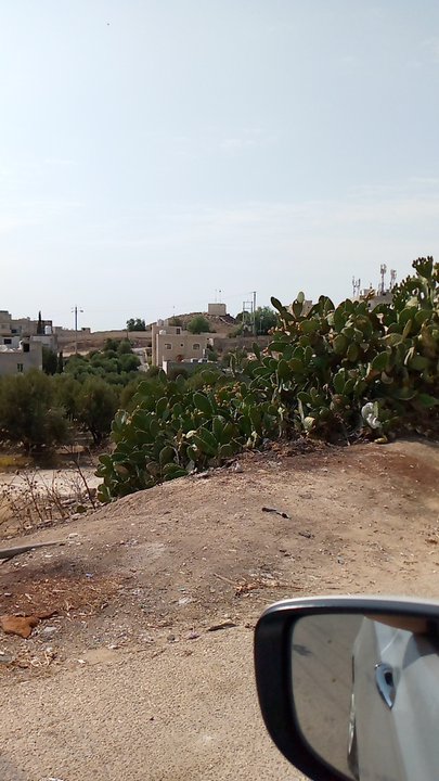 مشاركاتي في أنت الراصد