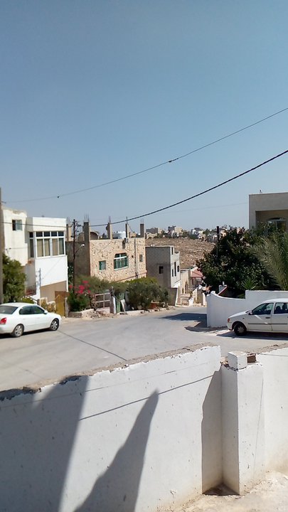 مشاركاتي في أنت الراصد