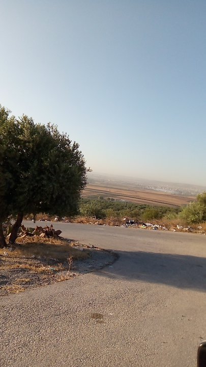 مشاركاتي في أنت الراصد