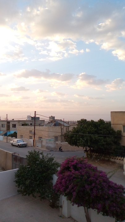 مشاركاتي في أنت الراصد