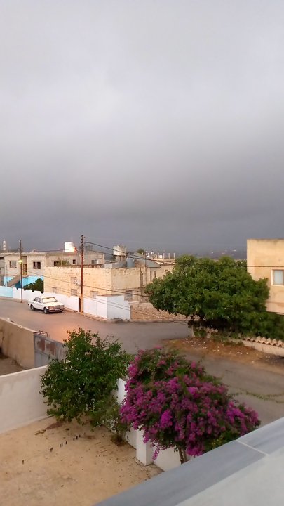 مشاركاتي في أنت الراصد