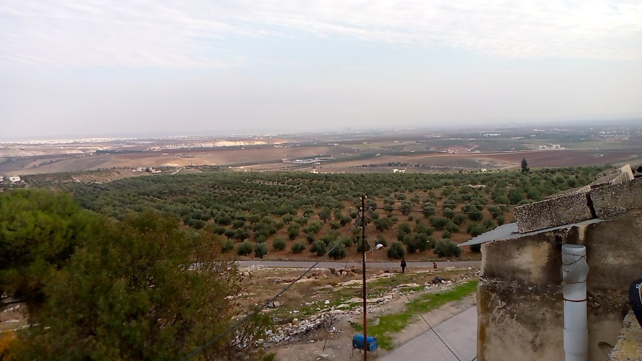 مشاركاتي في أنت الراصد