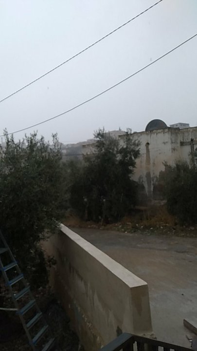 مشاركاتي في أنت الراصد