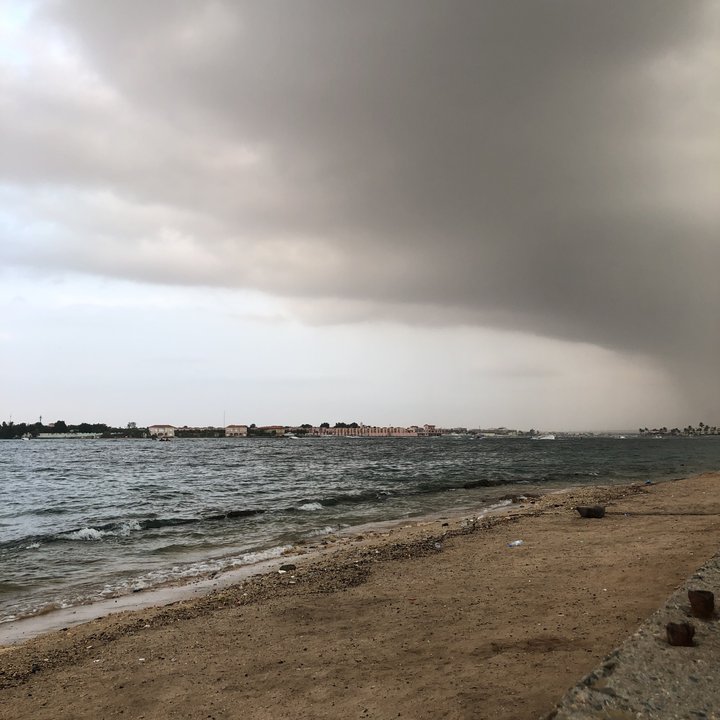 مشاركاتي في أنت الراصد