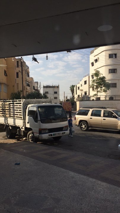 مشاركاتي في أنت الراصد