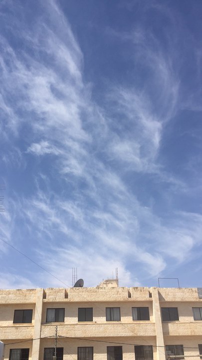 مشاركاتي في أنت الراصد