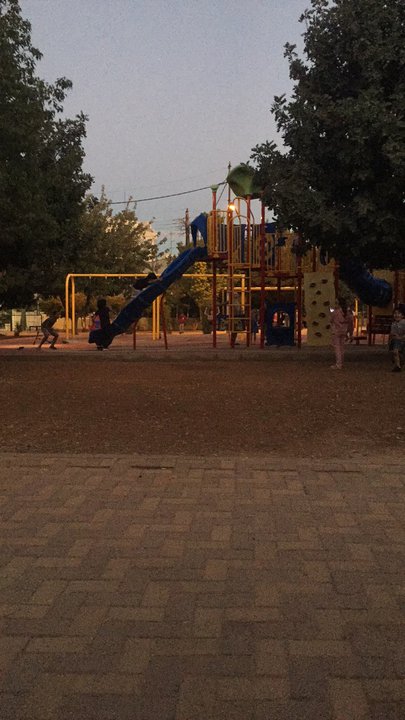 مشاركاتي في أنت الراصد