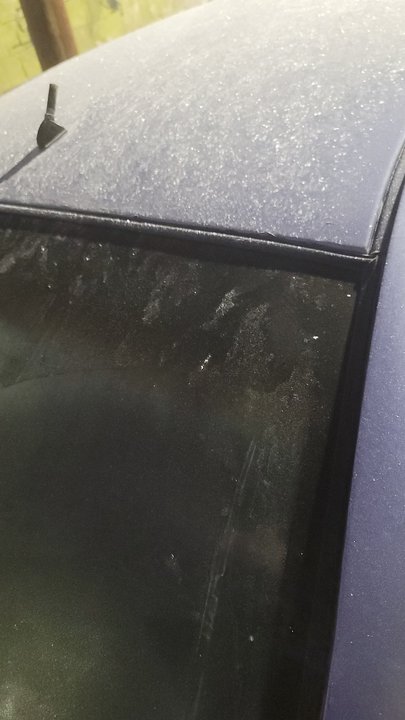 مشاركاتي في أنت الراصد