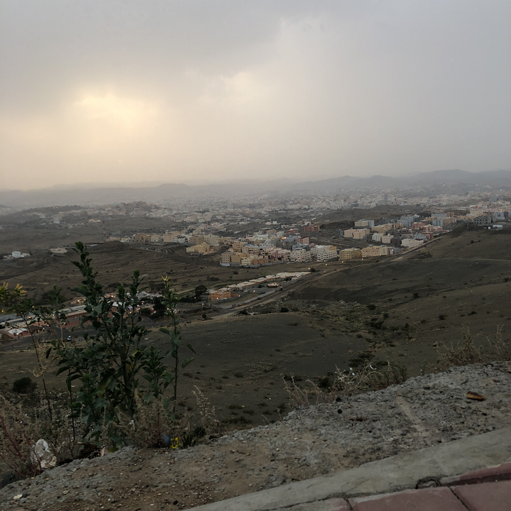 مشاركاتي في أنت الراصد