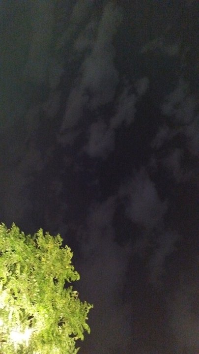 مشاركاتي في أنت الراصد