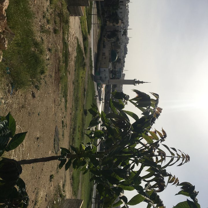 Mes publications Crowdsourcing