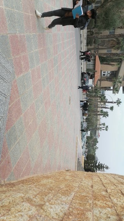 مشاركاتي في أنت الراصد